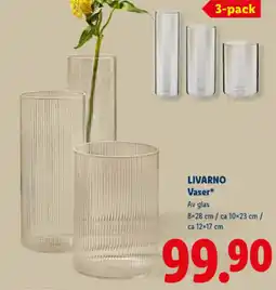 Lidl LIVARNO Vaser erbjuda