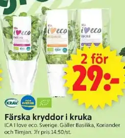 ICA Supermarket Färska kryddor i kruka erbjuda