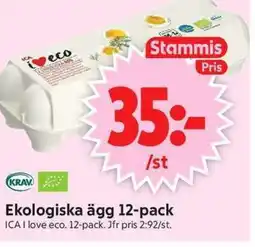 ICA Supermarket ICA Ekologiska ägg 12-pack erbjuda