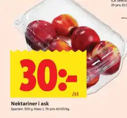 ICA Supermarket Nektariner i ask erbjuda
