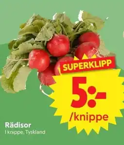 Nya Pulsen Rädisor erbjuda