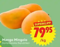 Nya Pulsen Mango Mingolo erbjuda