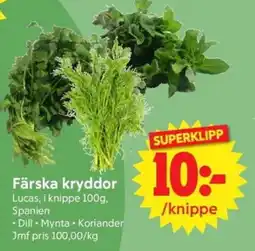 Nya Pulsen Färska kryddor erbjuda