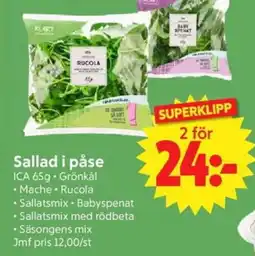 Nya Pulsen ICA Sallad i påse erbjuda