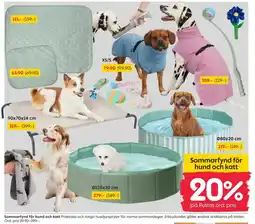 Rusta Sommarfynd för hund och katt erbjuda