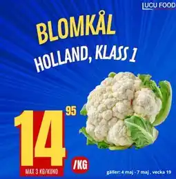Lucu Food BLOMKÅL HOLLAND, KLASS 1 erbjuda