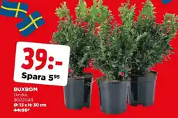 Jem&Fix Buxbom erbjuda