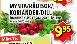 Matvärlden Tensta MYNTA/RÄDISOR/ KORIANDER/DILL erbjuda