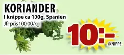 Matvärlden Tensta Koriander erbjuda