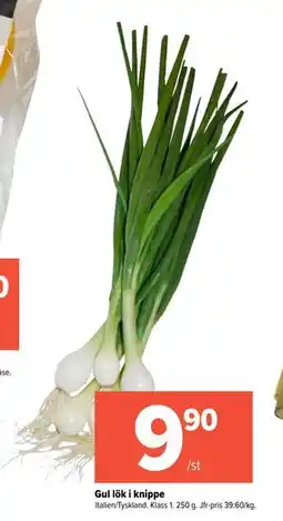 Coop Extra Gul lök i knippe erbjuda
