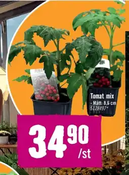 Hornbach Tomat mix erbjuda