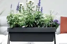 Hornbach Självvattnande blomlåda "Viva" erbjuda