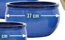 Hornbach Blomkruka "Bavaria" erbjuda