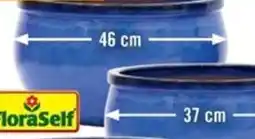Hornbach Blomkruka "Bavaria" erbjuda