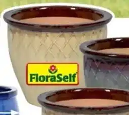 Hornbach Blomkruka "Lucca" erbjuda