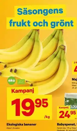 City Gross Ekologiska bananer erbjuda