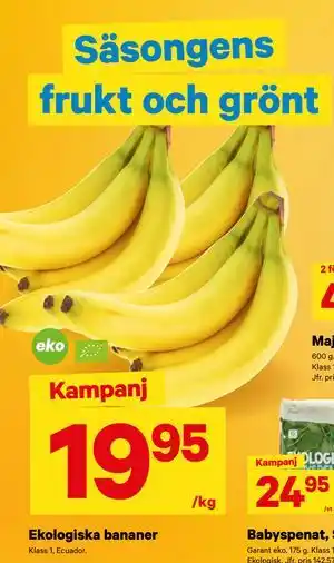 City Gross Ekologiska bananer erbjuda