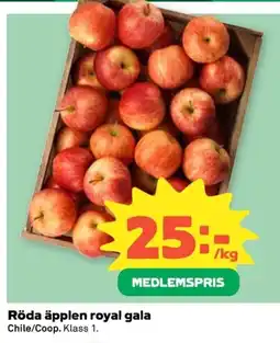 Coop Röda äpplen royal gala erbjuda