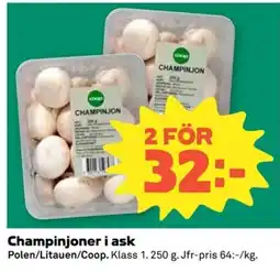 Coop Champinjoner i ask erbjuda