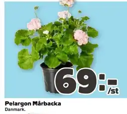 Coop Pelargon Mårbacka erbjuda