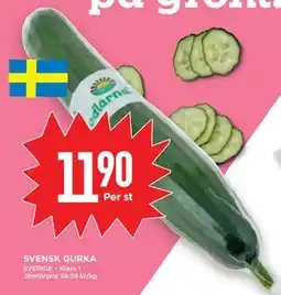 Willys SVENSK GURKA erbjuda