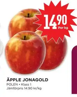 Willys ÄPPLE JONAGOLD erbjuda