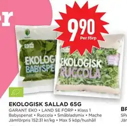 Willys EKOLOGISK SALLAD 65G erbjuda