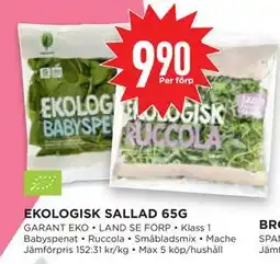 Willys Hemma EKOLOGISK SALLAD 65G erbjuda