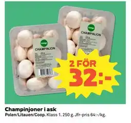 Coop Daglivs Champinjoner i ask erbjuda