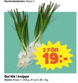 Coop Daglivs Gul lök i knippe erbjuda