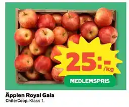 Coop Daglivs Äpplen Royal Gala, Medlemspris erbjuda