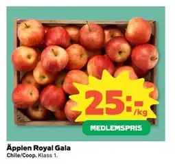 Coop Daglivs Äpplen Royal Gala, Medlemspris erbjuda