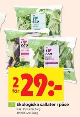 ICA Kvantum Ekologiska sallater i påse erbjuda