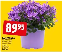 Jem&Fix CAMPANULA erbjuda