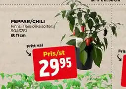 Jem&Fix PEPPAR/CHILI erbjuda