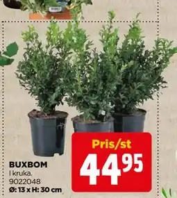 Jem&Fix BUXBOM erbjuda