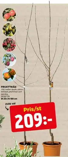 Jem&Fix FRUKTTRÄD erbjuda