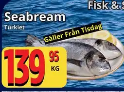 Supergrossen Seabream erbjuda