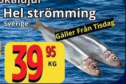 Supergrossen Hel strömming erbjuda