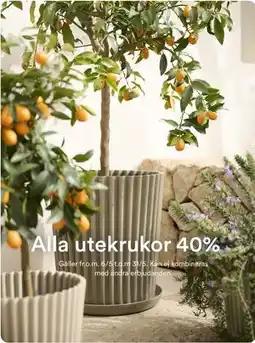 Hemtex Alla utekrukor 40% erbjuda