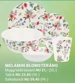 ÖoB MELAMIN BLOMSTERÄNG erbjuda