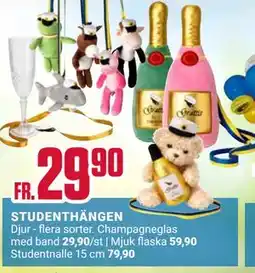 ÖoB STUDENTHÄNGEN erbjuda