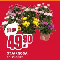ÖoB STJÄRNÖGA erbjuda
