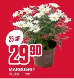 ÖoB MARGUERIT erbjuda