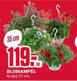 ÖoB BLOMAMPEL erbjuda