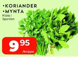 Matrix Butikerna Koriander • Mynta erbjuda