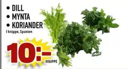 Din Mat Dill • Mynta • Koriander erbjuda