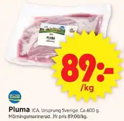 ICA Supermarket ICA Pluma erbjuda