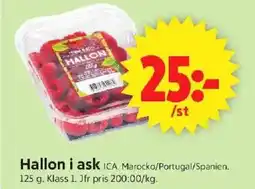 ICA Supermarket ICA Hallon i ask erbjuda