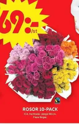 ICA Maxi Rosor 10-pack erbjuda